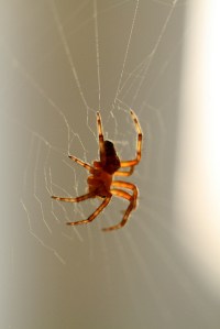 picture by Brian Fagan