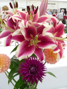 lily pic RESIZED.jpeg