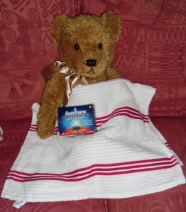 Farmhouse blog: Fred the Ted